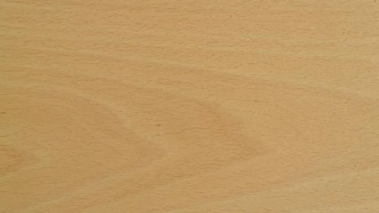 Beech White Flexible Veneer