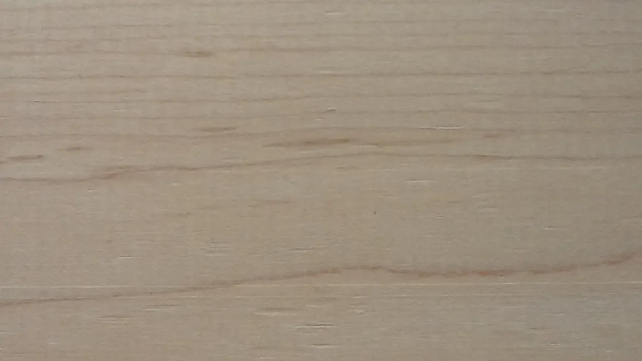 Maple (American)